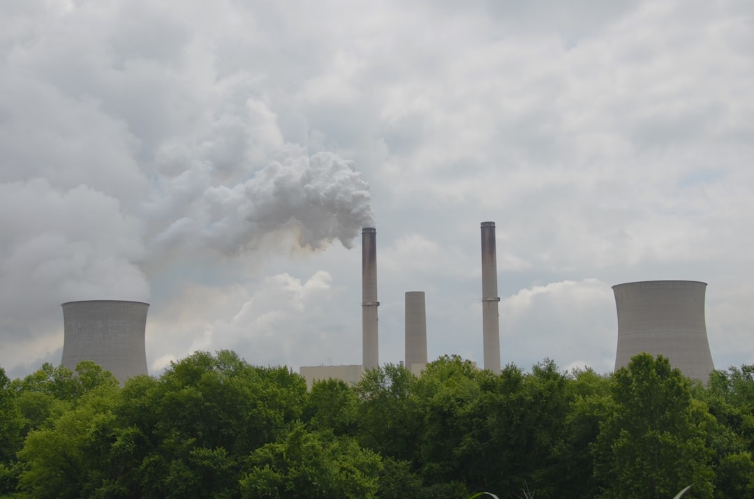 Photo carbon credits