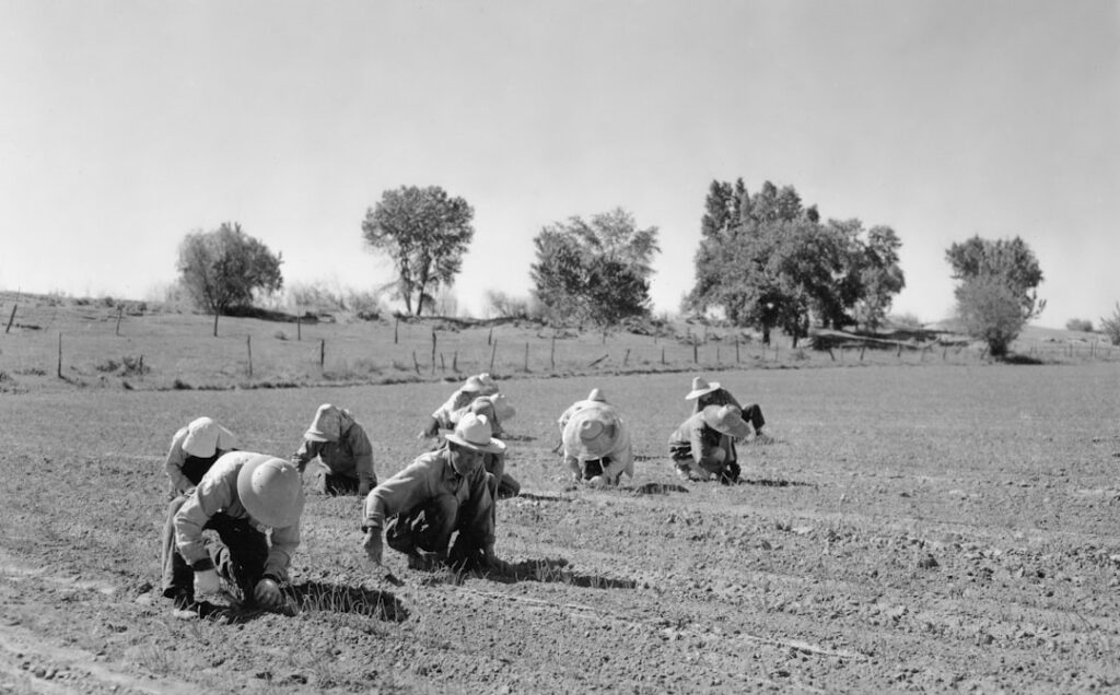Photo agricultural policy